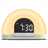 Wake Up Light Sunrise Alarm Clock with Sunrise Sunset - FVNLYXQ